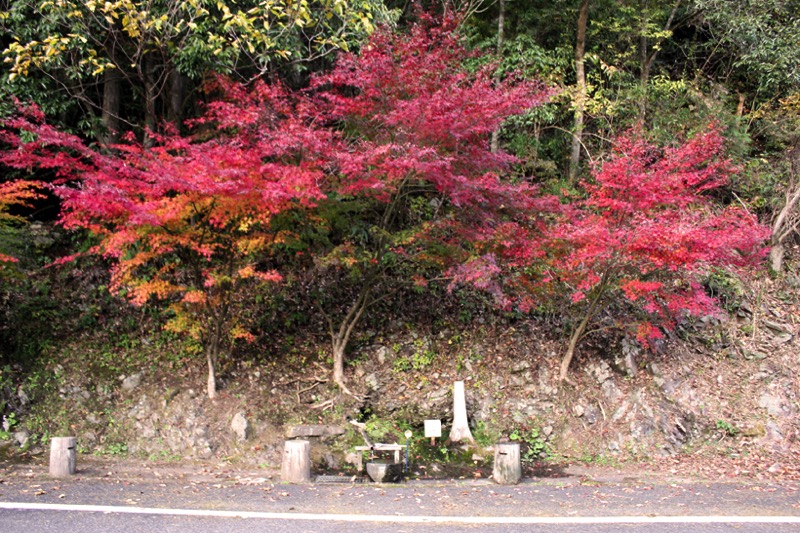 阿波弁で「だらしない」という意味らしい牟岐の名水「しょうたれの水」