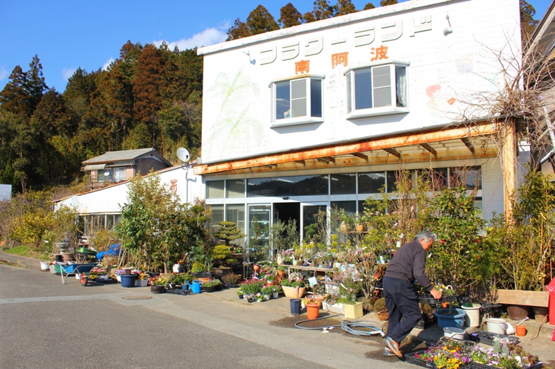 店先に並ぶだけじゃない！南阿波植物園・フローリスト南阿波