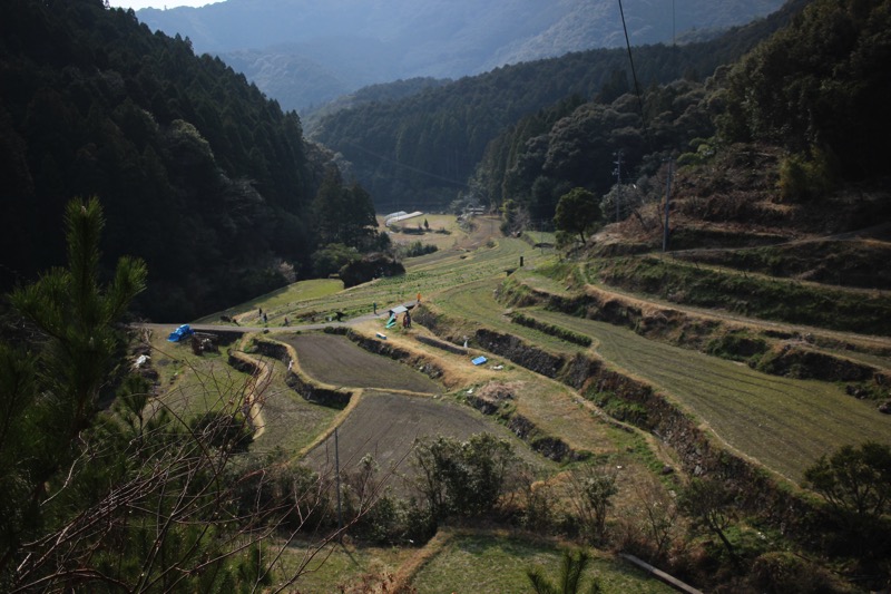 牟岐の絶景スポット「棚田」