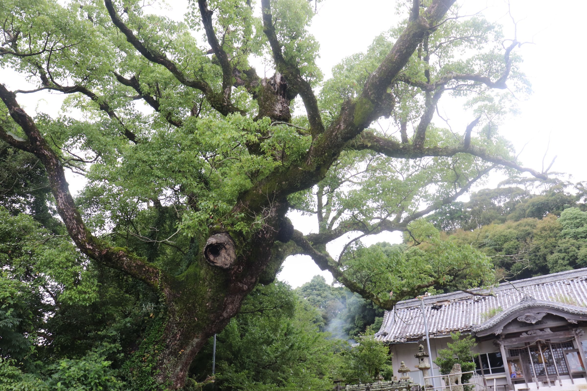 牟岐町の好きな風景（牟岐中学校2年 久侑聖）