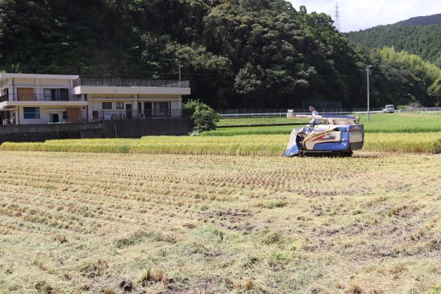 早場米【ハナエチゼン】関西スーパーにて販売
